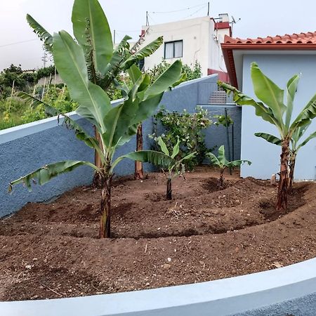 Calheta Paradise Holiday Home Арко да Калйета Екстериор снимка