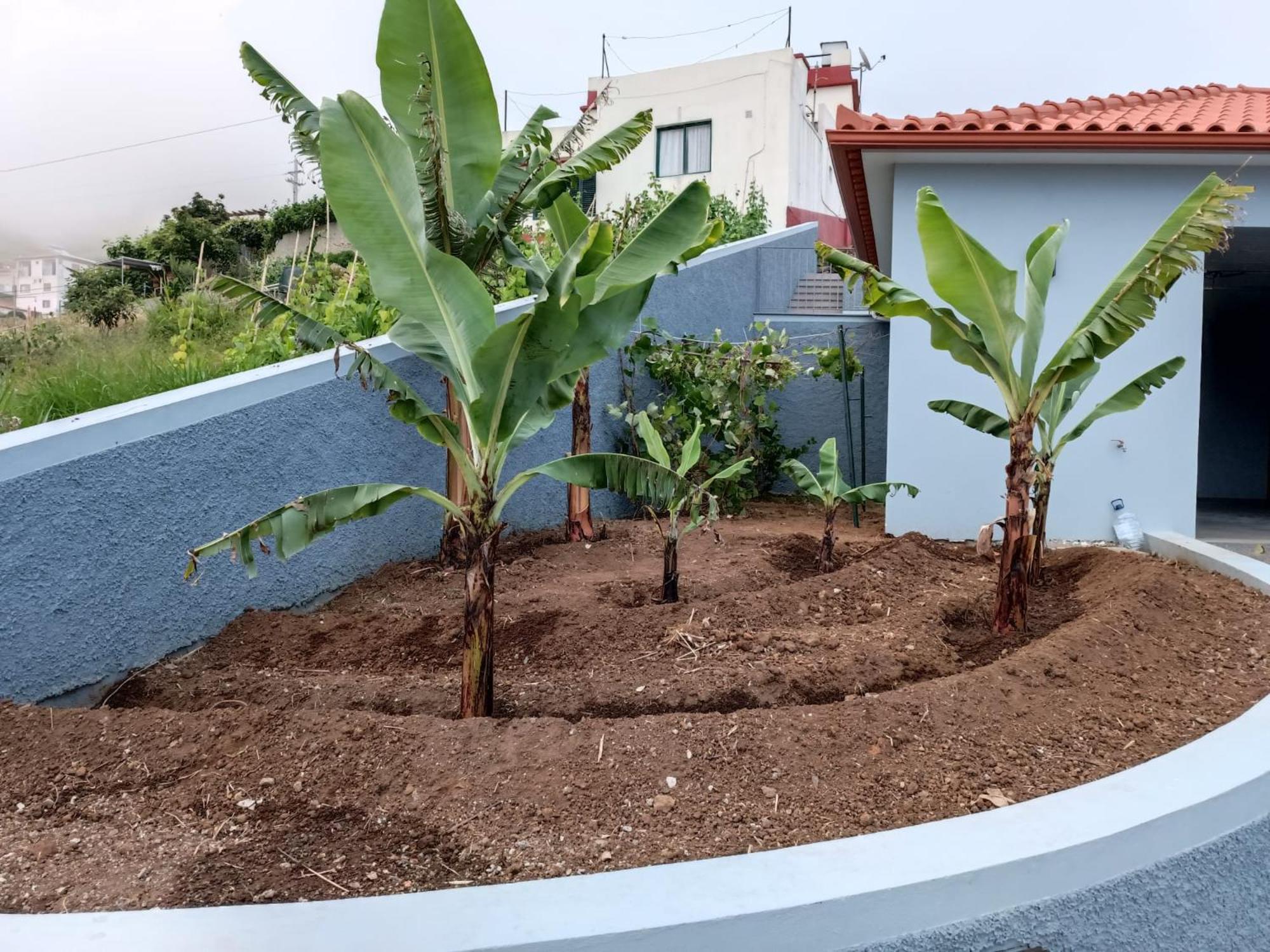 Calheta Paradise Holiday Home Арко да Калйета Екстериор снимка